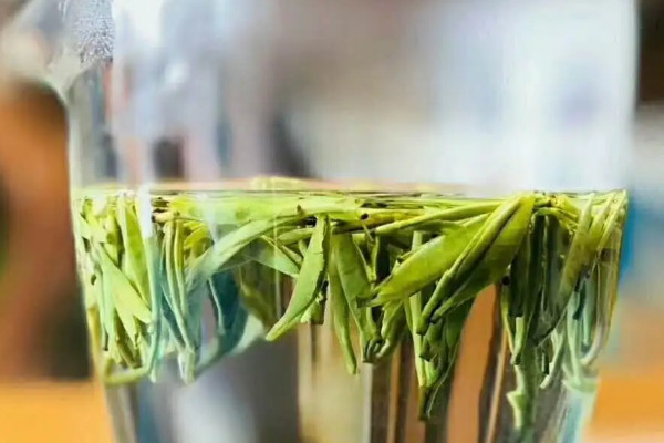 漢中仙毫是紅茶還是綠茶,漢中仙毫屬于什么茶
