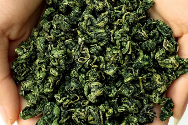 刺五加茶是什么茶,刺五加茶屬于哪種茶