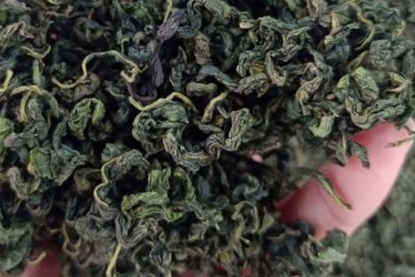 刺五加茶是什么茶,刺五加茶屬于哪種茶