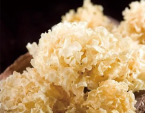 銀耳菌種生產(chǎn)的幾個注意事項