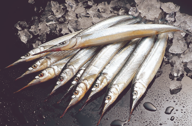 秋刀魚為什么很少人吃?