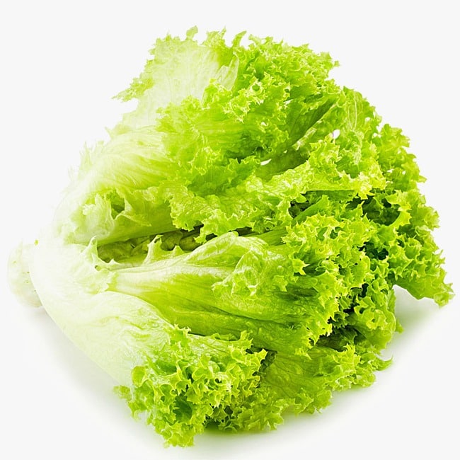 生菜生吃好還是煮熟吃更好?