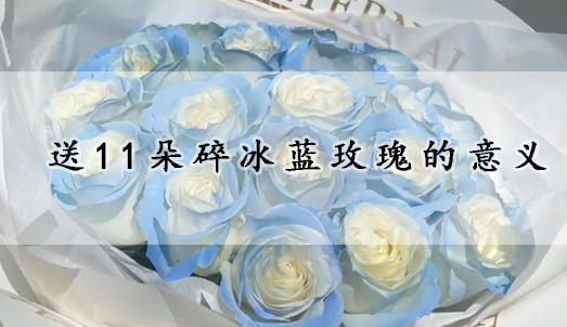 送11朵碎冰藍(lán)玫瑰的意義?
