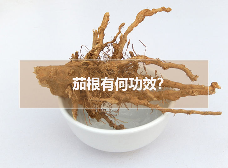 茄根有何功效?