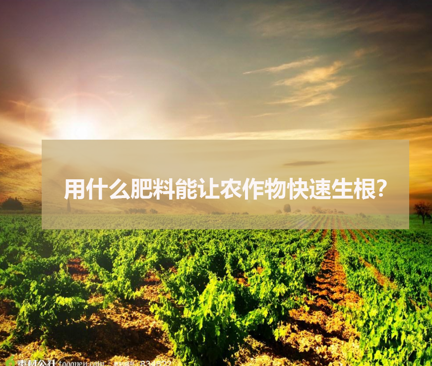 用什么肥料能讓農作物快速生根?