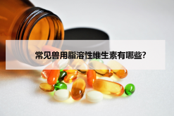 <strong>常見獸用脂溶性維生素有哪些？</strong>