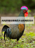 <strong>肉雞養(yǎng)殖常用用藥方法和用藥常識</strong>