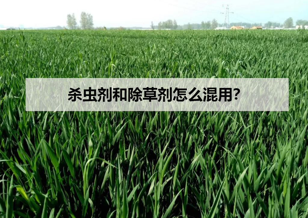 殺蟲劑和除草劑怎么混用?