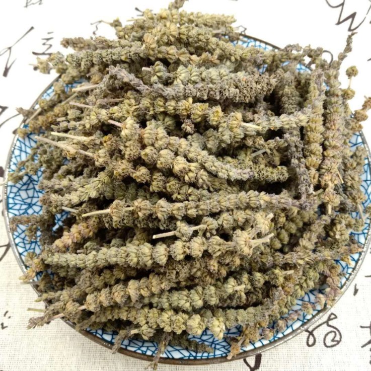 荊芥為什么叫貓薄荷呢?有什么藥用價值?