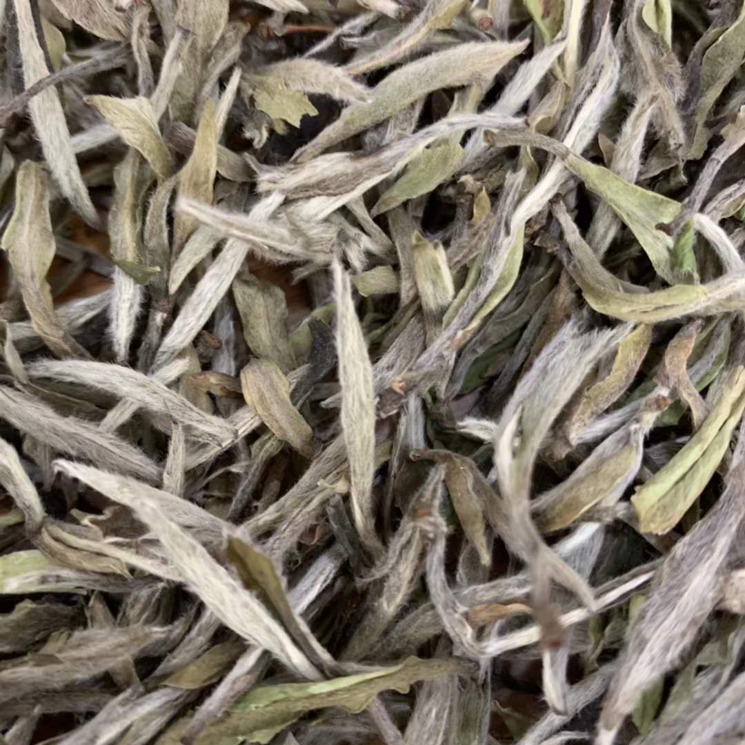 白茶有什么民間稱呼?白茶代表是什么茶?