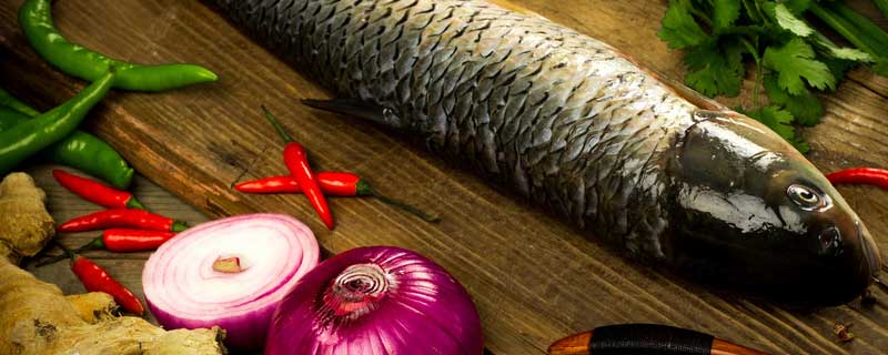 草魚吃什么飼料比較好,草魚飼料沉底好嗎
