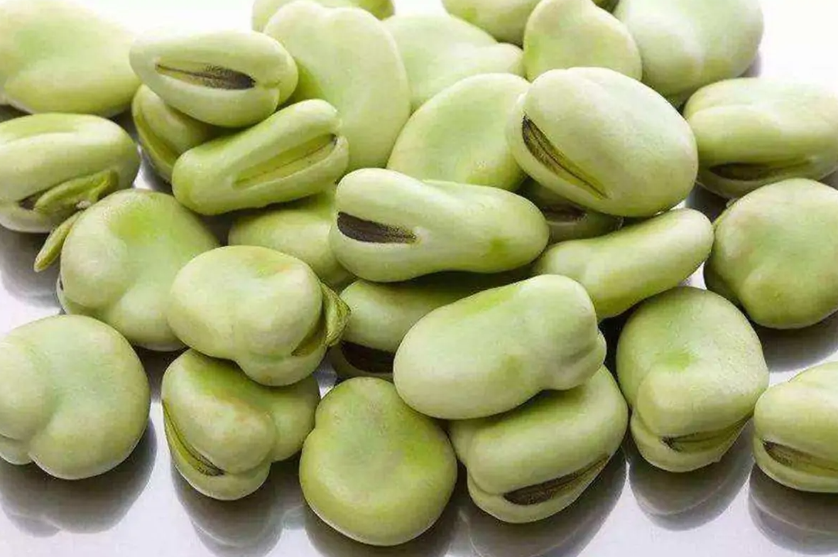 種蠶豆需要使用哪些肥料?如何施肥?