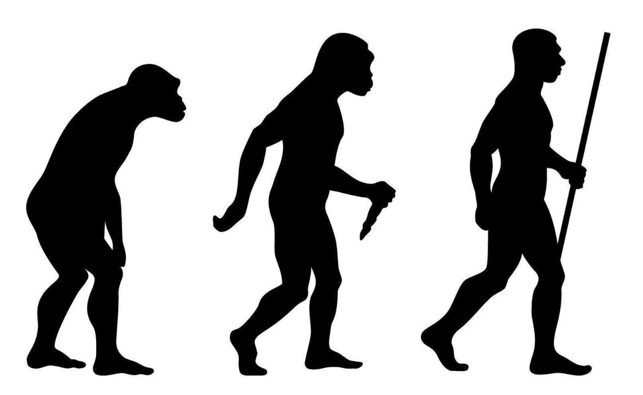 人類是哺乳動物嗎?人類有哪些特點?