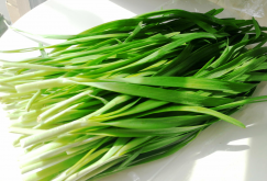 <b>韭菜籽的種植方式介紹</b>
