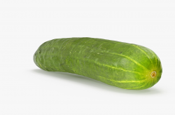 <strong>夏天成熟的農作物哪些？</strong>