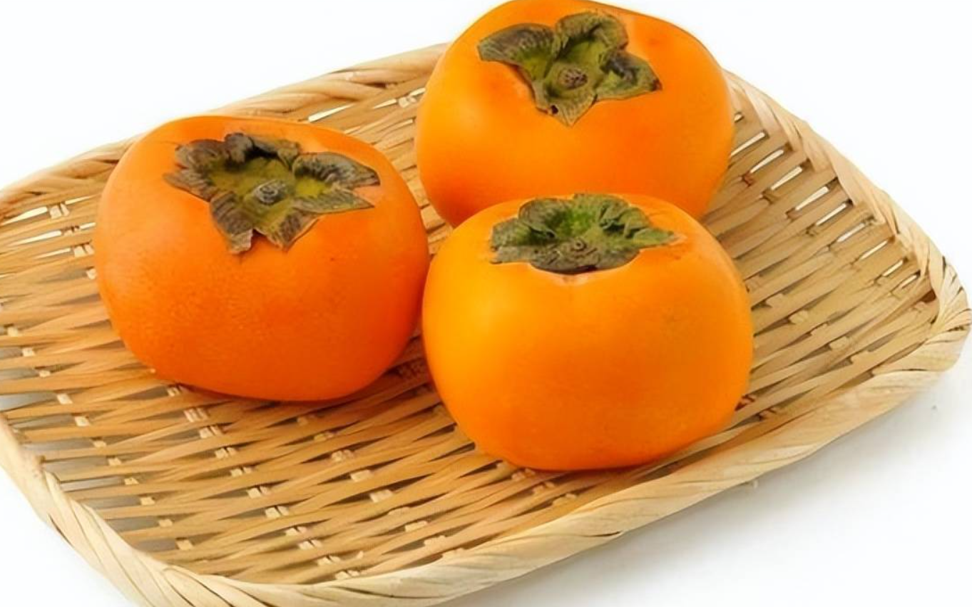 柿子樹的特點和發芽時間?