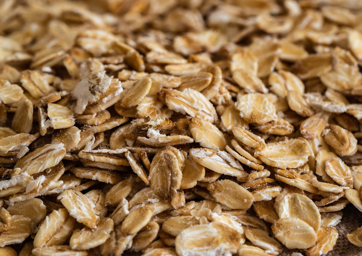 燕麥的營養和特點介紹,需要如何種植?