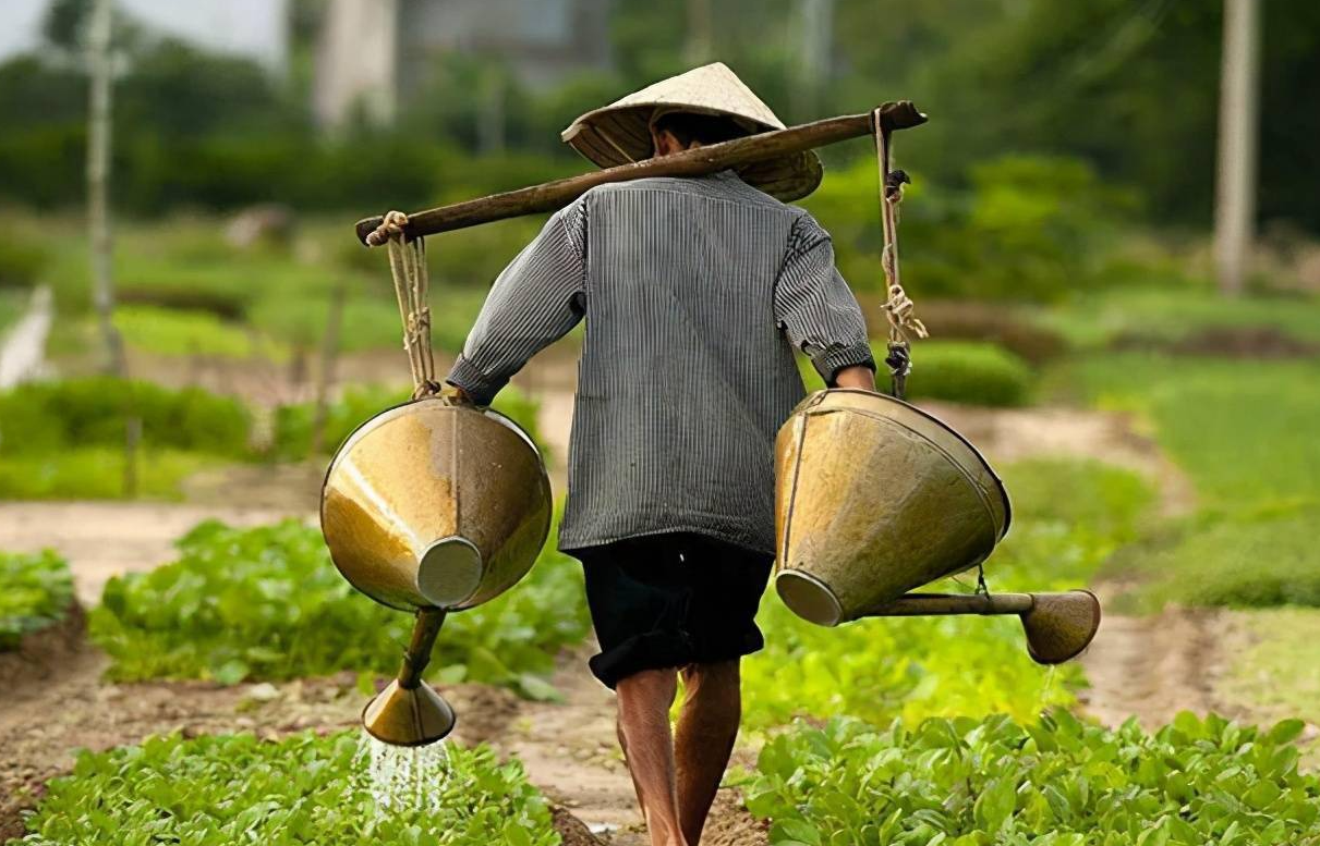 我國農業發展現狀,有哪些不足繼續改善?