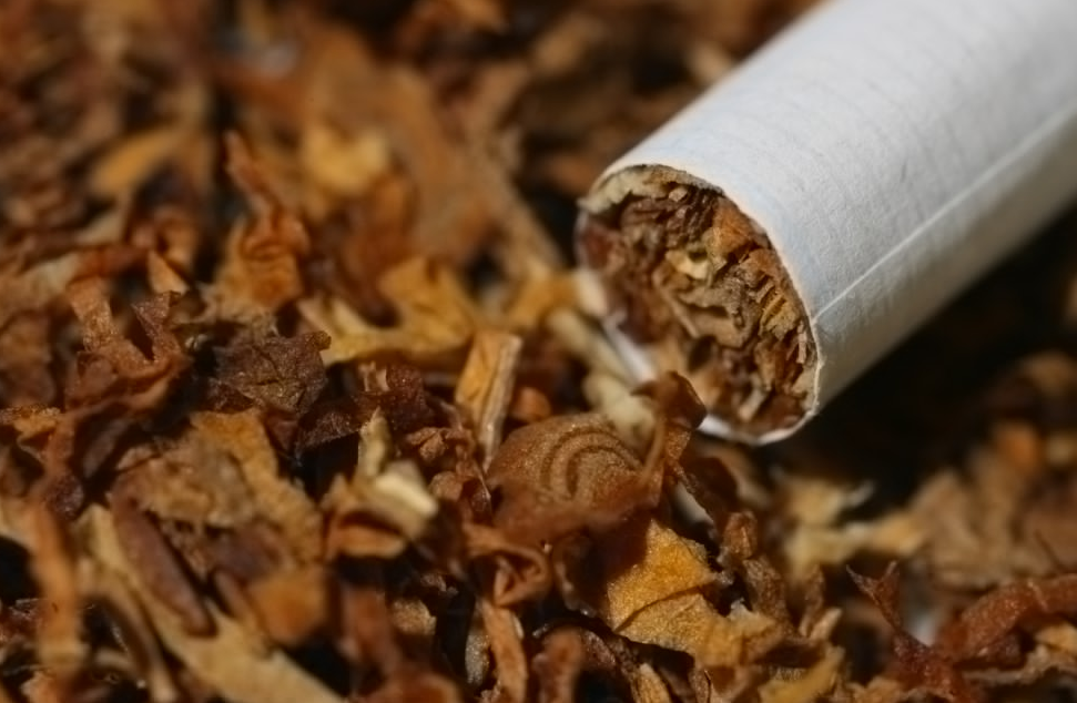 煙草屬于高經(jīng)濟作物嗎?煙草的生長環(huán)境和種植須知