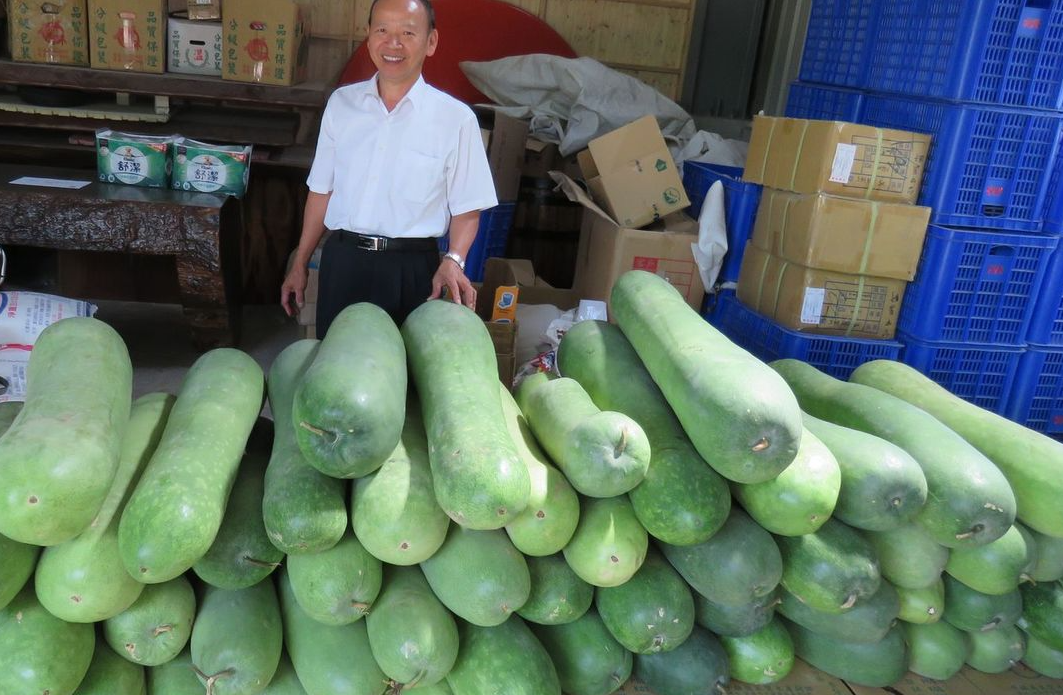 冬瓜本身有什么價值和作用?