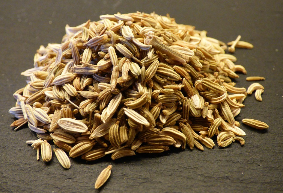 小茴香和大茴香有什么區別?用法一致嗎?