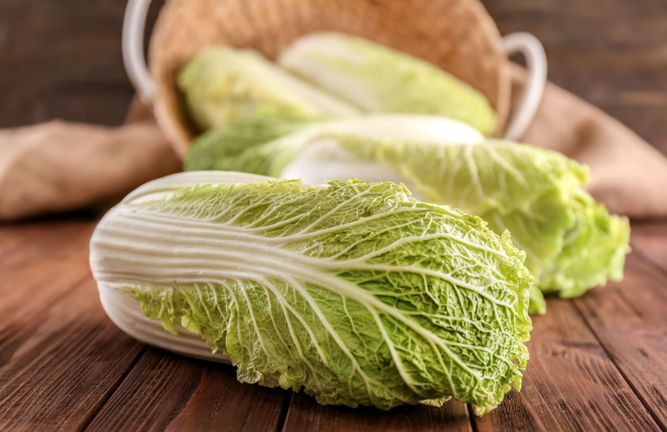 夏白菜種植技術分享,需要注意什么?