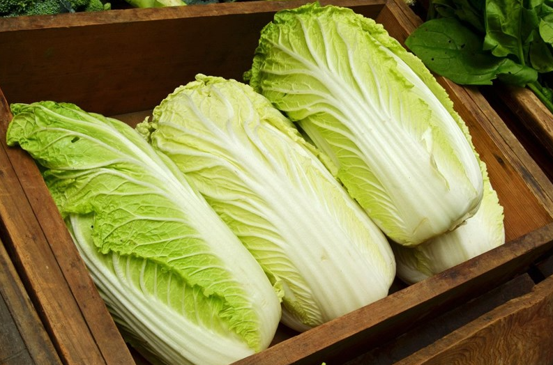 夏白菜種植技術分享,需要注意什么?