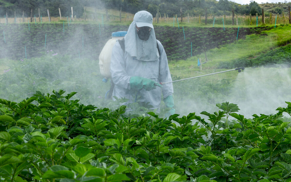 生物殺蟲劑如何應用?會存在什么問題?
