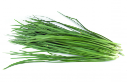 <b>韭菜長的細是怎么回事？韭菜的種植方法</b>