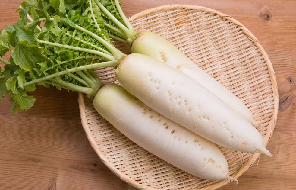越夏蘿卜的管理方法介紹,有哪些注意事項?
