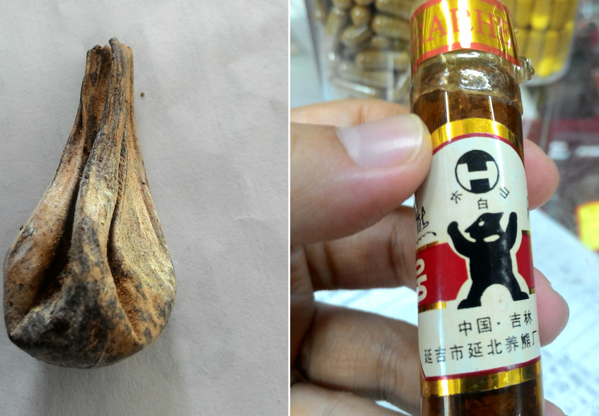 熊膽汁有什么藥用價值?