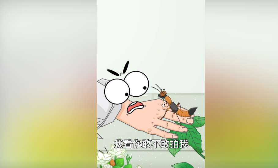 隱翅蟲是什么,被隱翅蟲咬了咬注意什么,為什么不能用手去拍打隱翅蟲