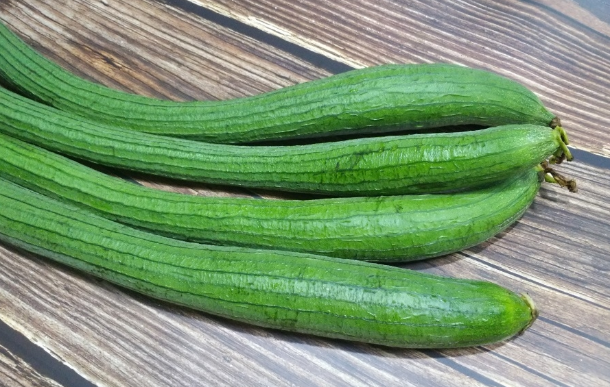 秋季種植絲瓜怎樣育苗?需要哪些條件?