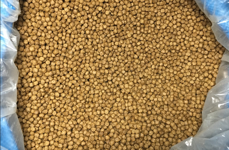 魚用濃縮飼料的常見成分和配方是什么?