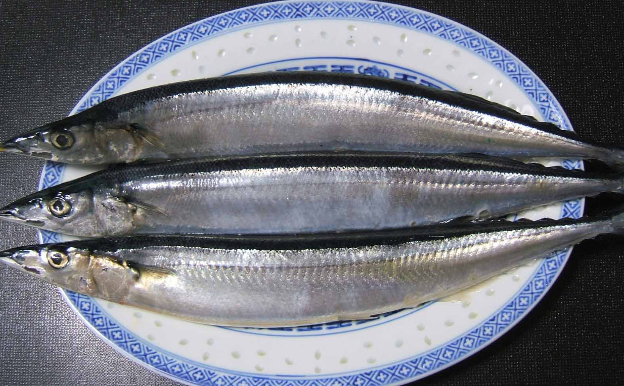 刀魚是什么魚?有哪些營(yíng)養(yǎng)價(jià)值?