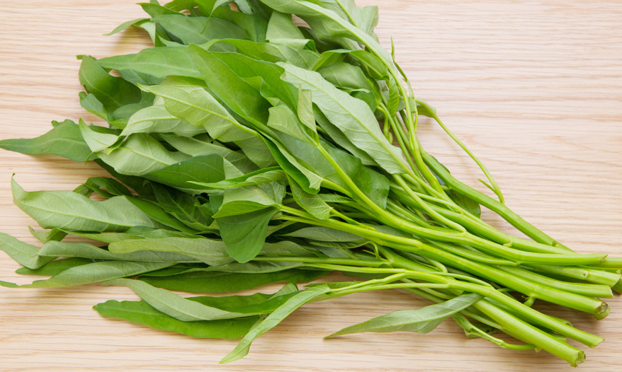 空心菜最高產的品種?有什么特點?
