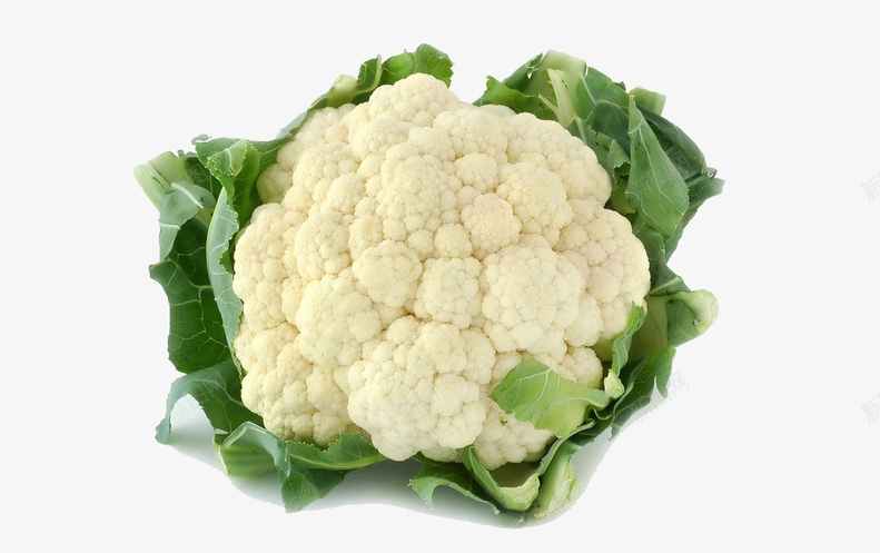 花菜種植中如何施肥?有哪些技術要點?