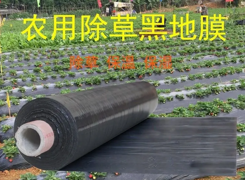 地膜的分類有幾種 都有什么作用?