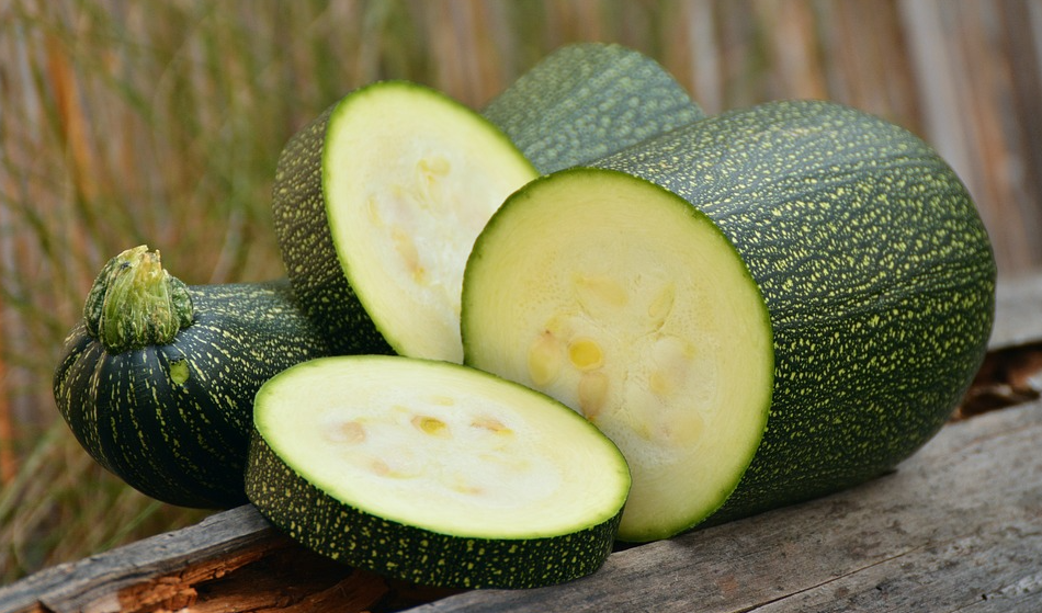 節瓜生長特點和栽培技術分享