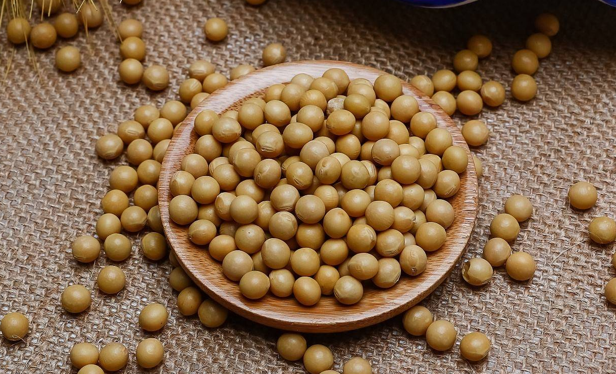 大豆成熟的收獲標準有哪些?