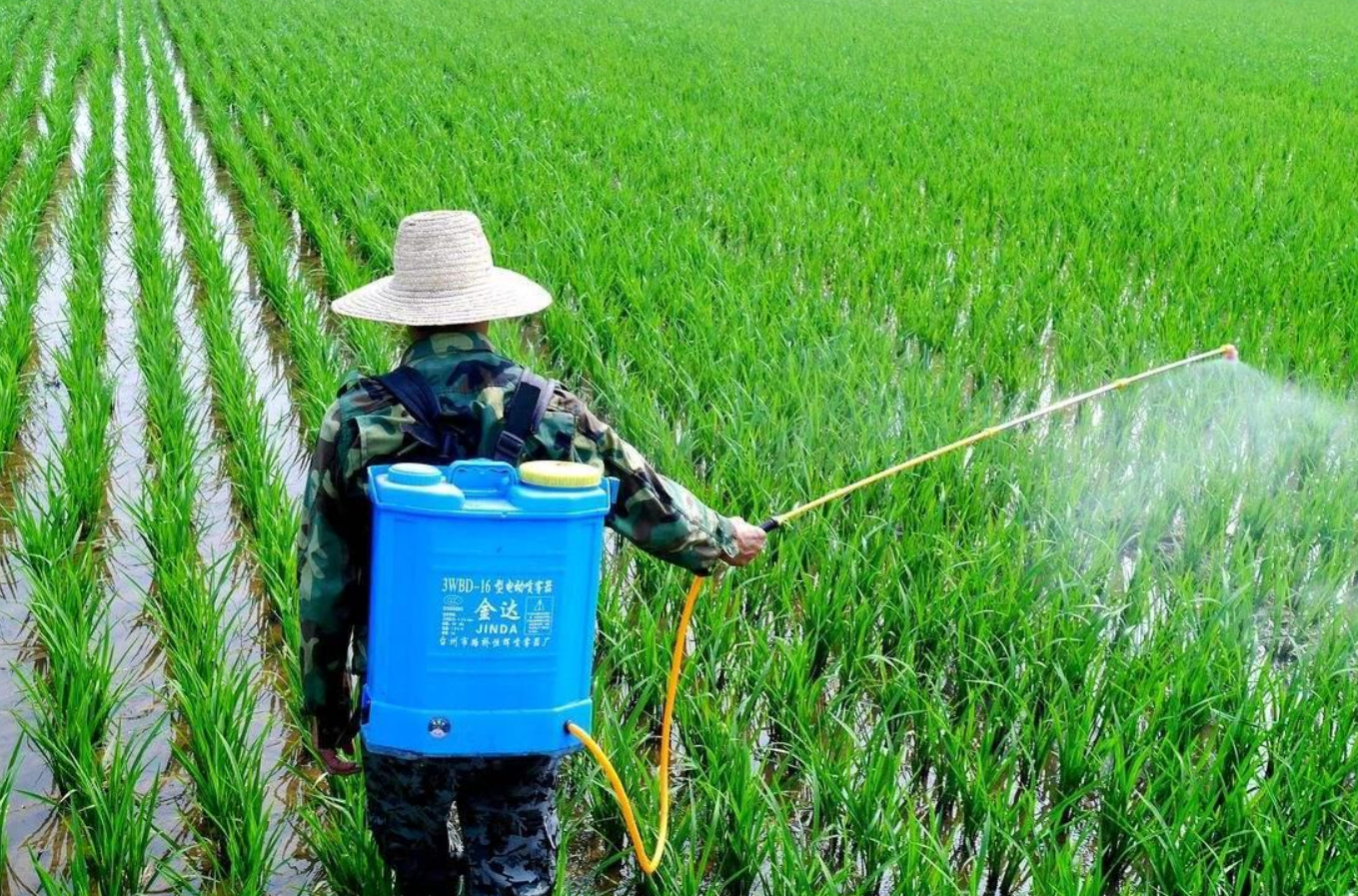 氯磺隆使用方法和注意事項?