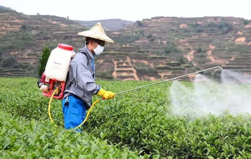 生物刺激劑有哪些?需要注意哪些方面?