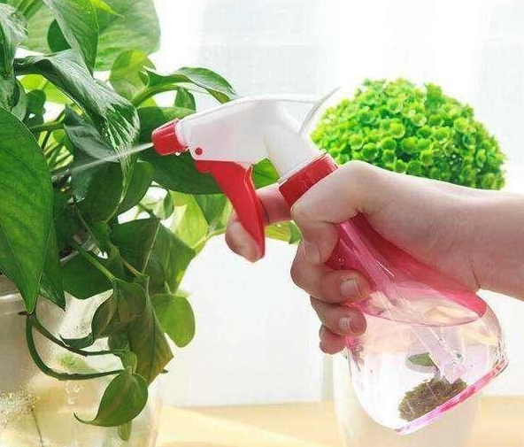 家庭養花不用藥可以治蟲嗎?如何自制殺蟲劑?