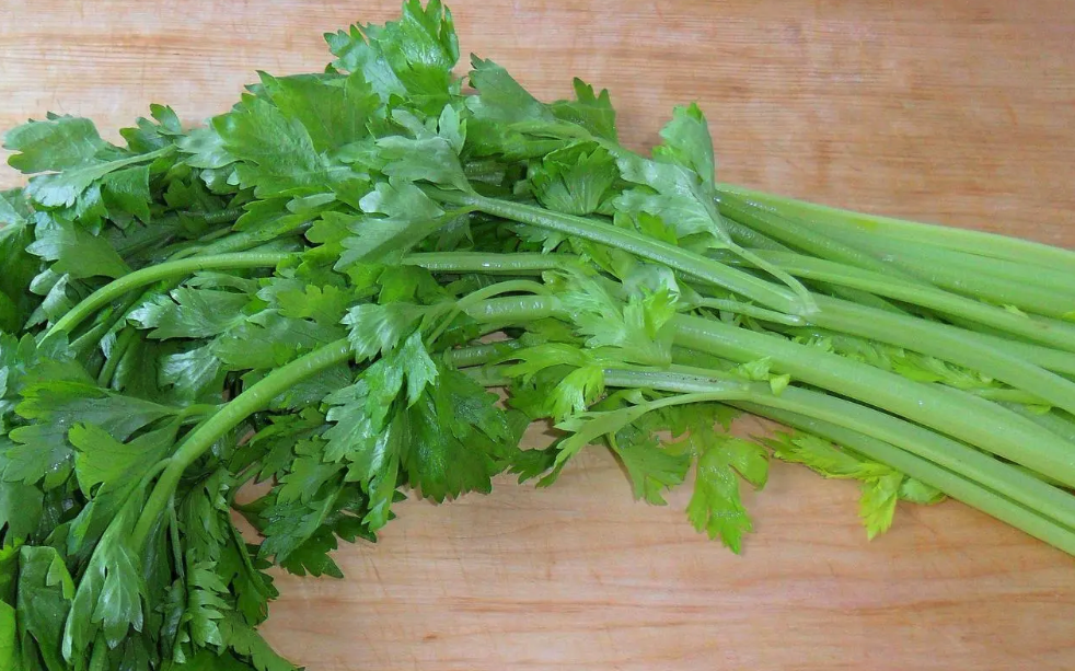 芹菜病蟲害和防治方法有哪些?