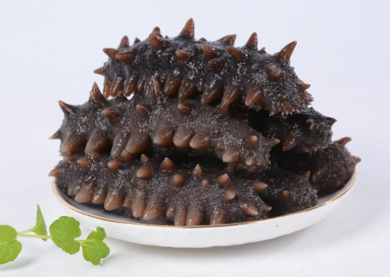 可食用的海參有幾種?哪些經濟價值比較高?