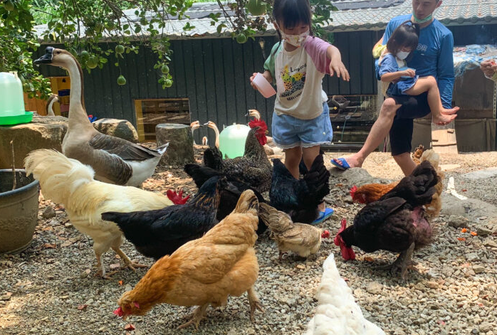 有機生產對禽畜的飼養方式,飼養管理有哪些具體的要求?