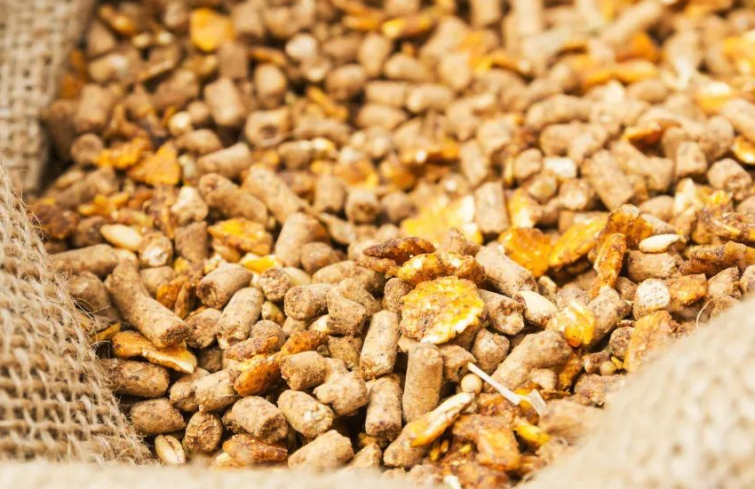 豬飼料中的粗蛋白和其他蛋白有什么區別,粗蛋白成分有哪些?