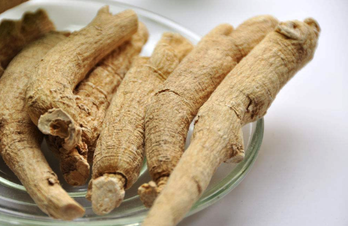 梅花參分布在什么地方,有哪些特色?