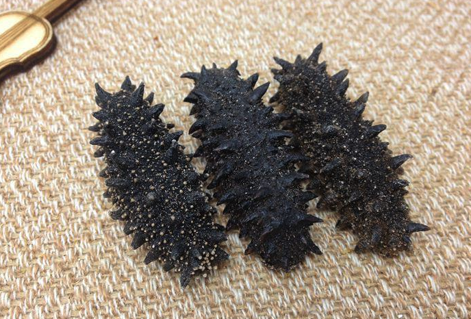 刺參的形態特點是什么,有哪些藥用價值?