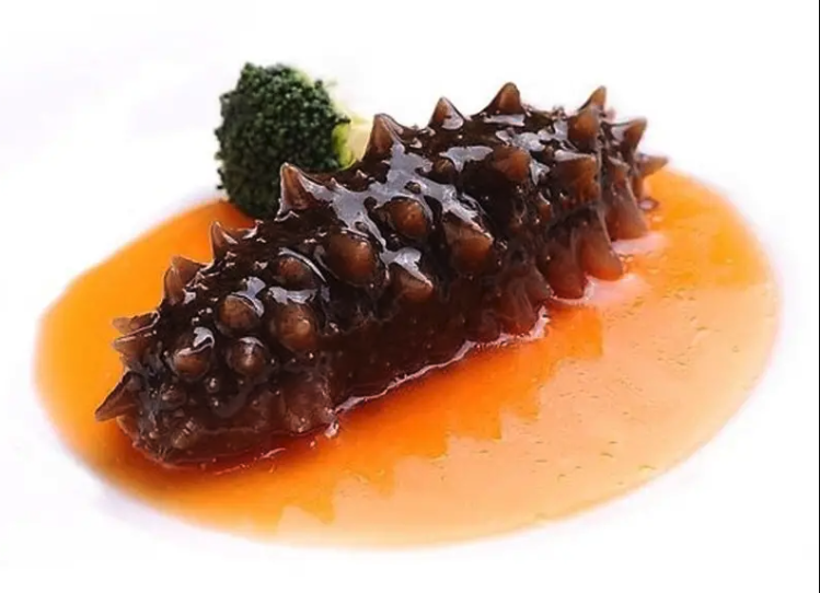 海參的生長環(huán)境怎么樣,有什么營養(yǎng)價(jià)值?